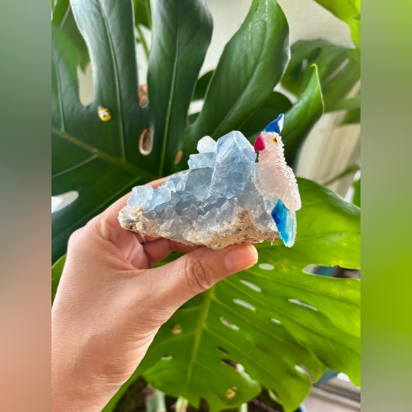 Parrot Carving on Celestite
